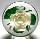 Magnum Pairpoint White Crimp Rose Paperweight - unfinished