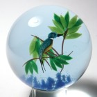Caithness Kingfisher 1984 Limited Edition Paperweight - Alexandrite or Neodymium Glass