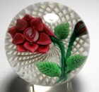 Large Antique New England Glass Company (NEGC) Red Double Poinsettia Paperweight with Bud on Double Latticinio Ground