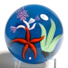 Super Magnum 1996 Baccarat Limited Edition Starfish Paperweight with Box