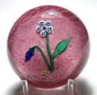 Very Early Francis Whittemore Miniature White Millefiori Flower with Leaf and Blue Bud on a Pink Ground Paperweight