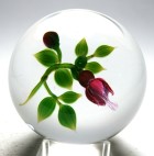 Early Debbie Tarsitano Red Fuchsia Flower with Bud Paperweight