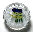 Large St. Louis 1980 Pansy on Lace Ground Limited Edition Paperweight with Fancy Cutting