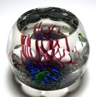Perthshire Annual Collection 1981C Limited Edition Magnum Aquarium Paperweight