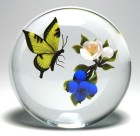 Super Magnum Victor Trabucco Swallowtail Butterfly Paperweight with Blueberries, Flower, and Bud