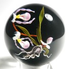 Mayauel Ward Lady Slipper Orchid Flowers Pedestal Paperweight